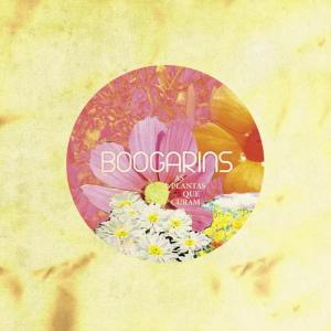 boogarins