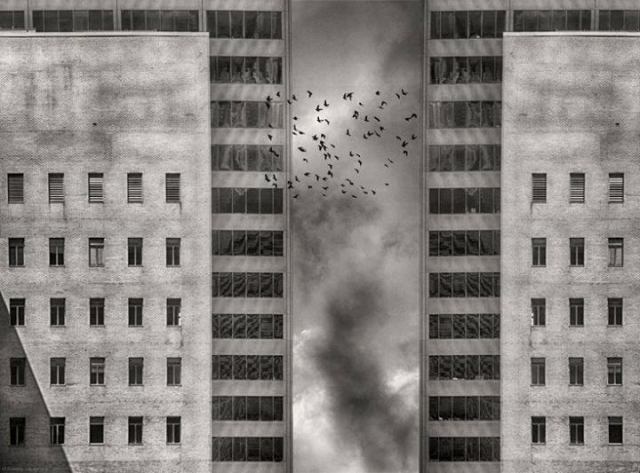 Migration by Roxana Labagnara